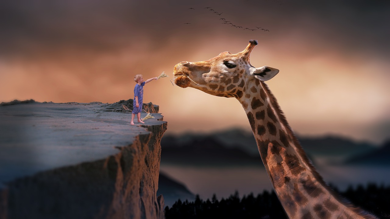 Kleines Kind füttert Giraffe